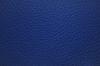 Electric Blue 3102